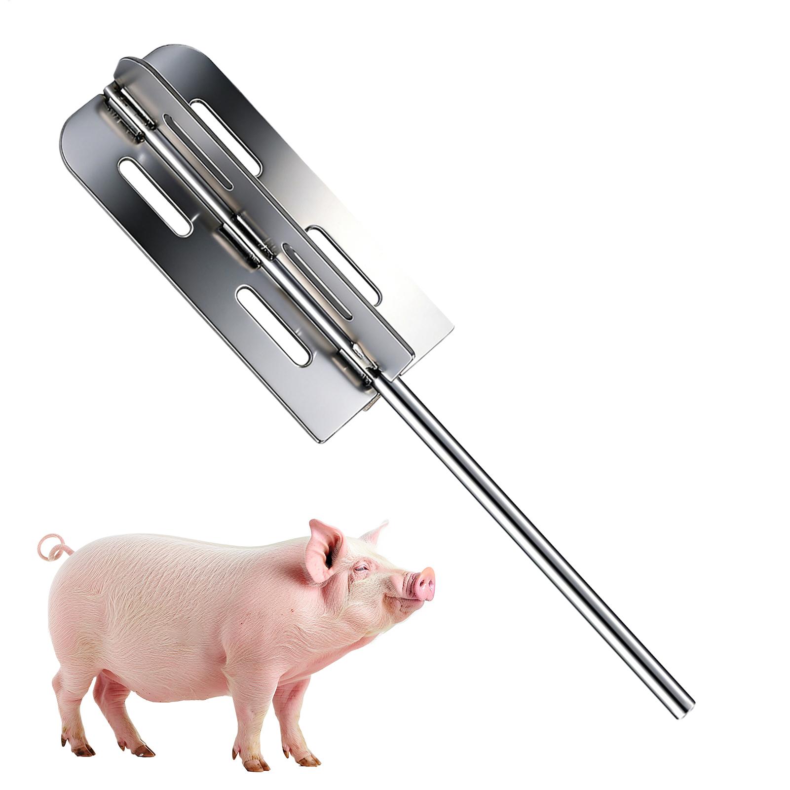 Power Tools Router - Schweinehaar-Entfernungswerkzeug Edelstahl-Bohraufsatz für Elektrobohrer Schweinehaar-Schaber für